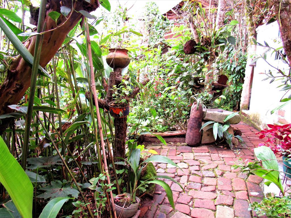 Hotel Casa Tarzan San Agustin Exterior photo